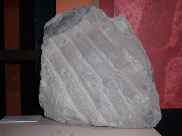 Audio guide of Puertollano´s Mining Museum - fossils