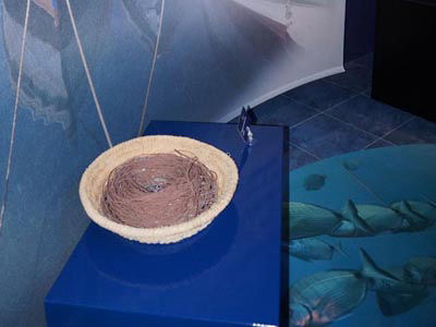 Audio guide of Learning Center of the Sea - Interior Shelf