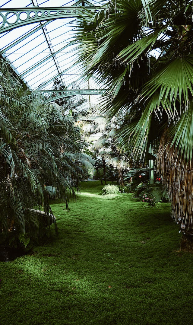 13. Stuttgart Audio Guide. The Wilhelma.
