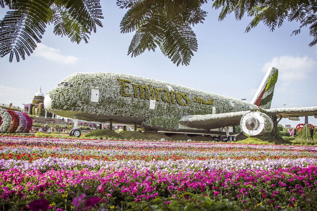 Audioguide of Dubai- Miracle Garden (audioguides, audiotour)