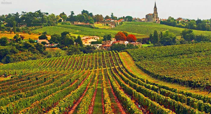 Audioguide of Bordeaux - Bordeaux vineyards  (audioguides, audiotour)