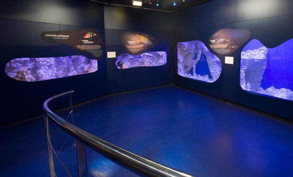Audio guide of Learning Center of the Sea - Aquarium