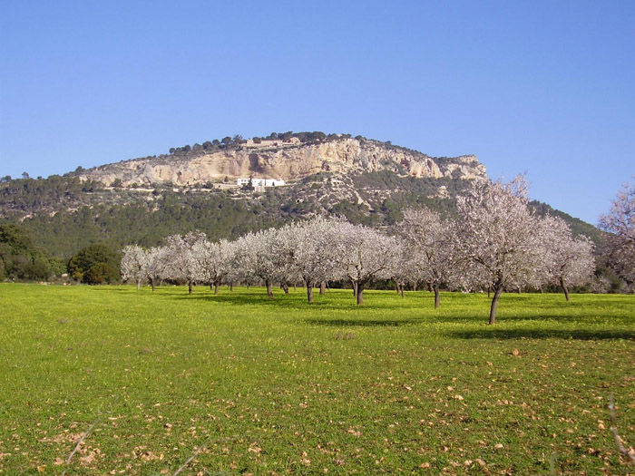 Visita a Llucmajor - Gracia